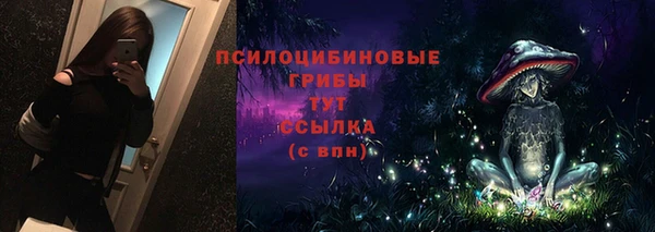 spice Верхний Тагил