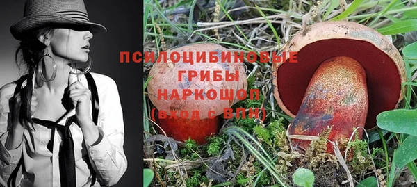 спайс Верея