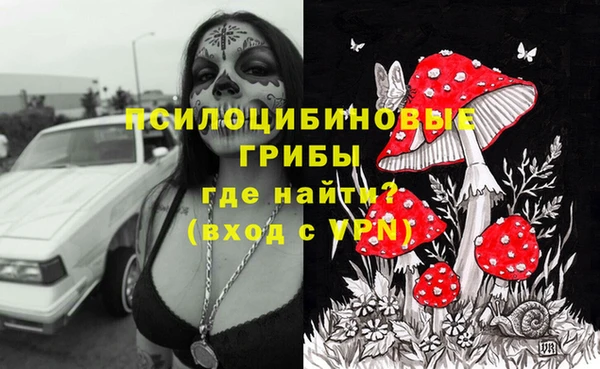амф Бугульма