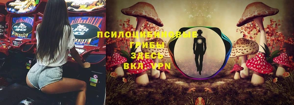 спайс Верея