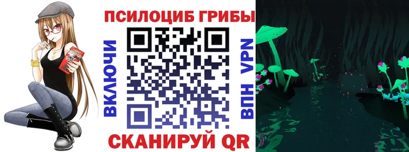 сколько стоит  Новое Девяткино  Галлюциногенные грибы мицелий 